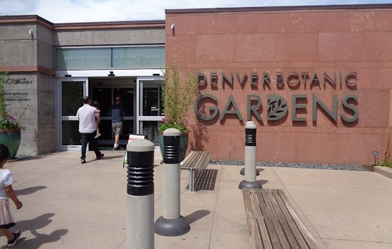 Denver’s Famous Tulip Show Sidelined As Fungus Torches The Beds