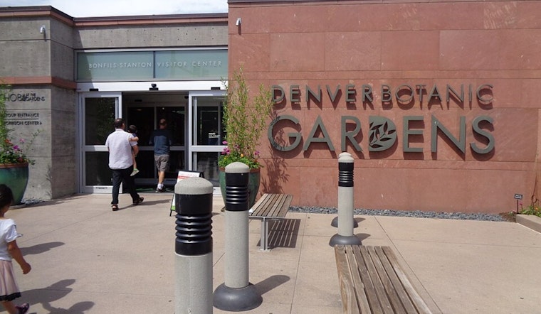Denver’s Famous Tulip Show Sidelined As Fungus Torches The Beds