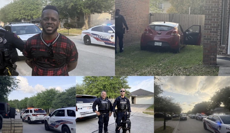 Deputies Chase Down Armed Robbery Suspect on Holzwarth Road