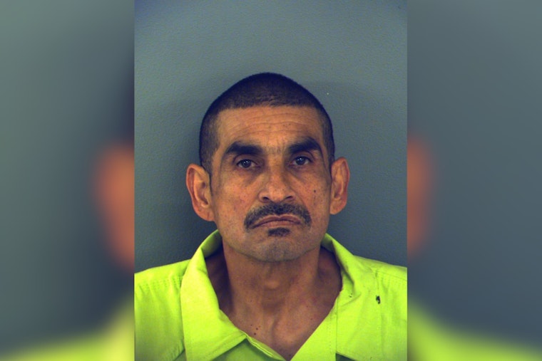 Desert Dumping Shocks Fabens As Deputies Bust Man In Box-Of-Puppies Case