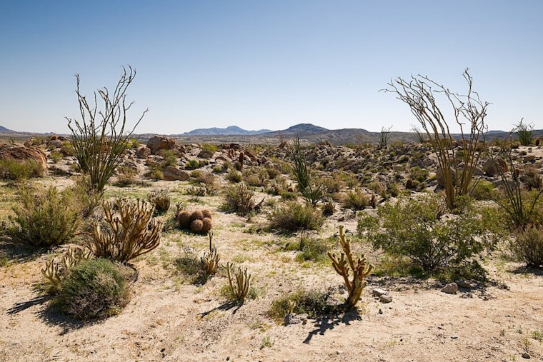Desert Showdown As SDG&E Powerlink Plan Riles Borrego