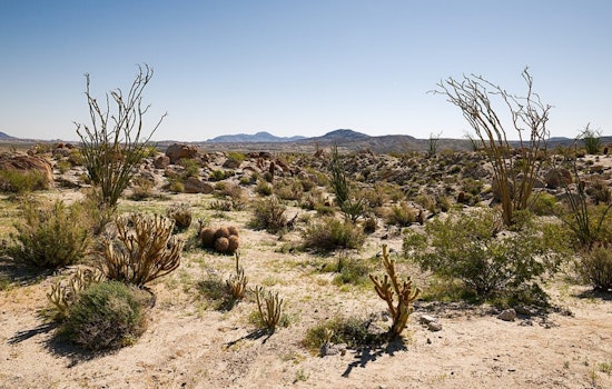 Desert Showdown As SDG&E Powerlink Plan Riles Borrego