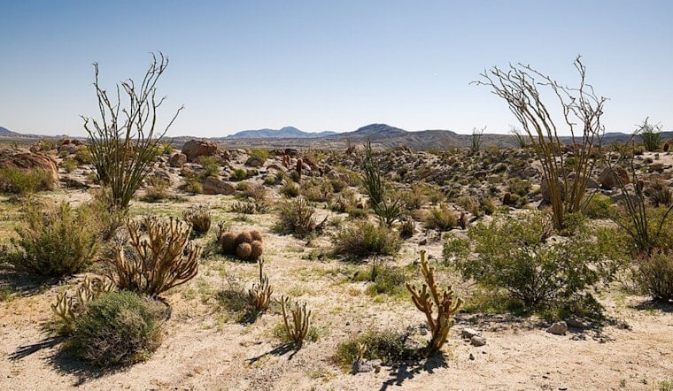 Desert Showdown As SDG&E Powerlink Plan Riles Borrego