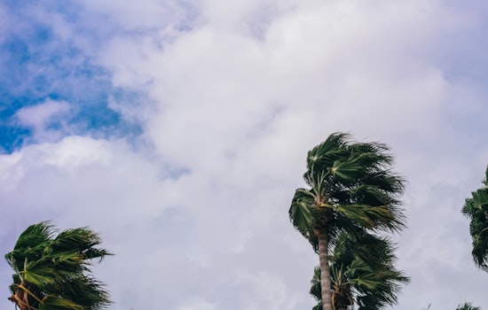 Desert Winds Whip Phoenix As Valley Eyes Late-Night Sprinkles