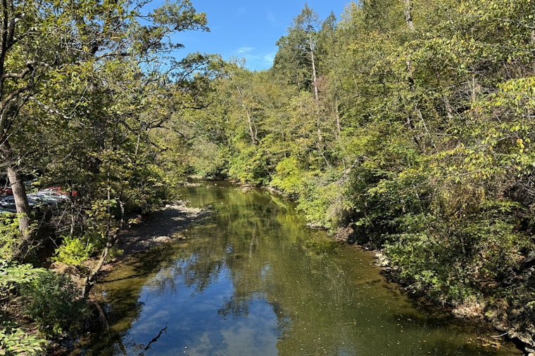 Devil's Pool Dip Turns Deadly In Philly's Wissahickon