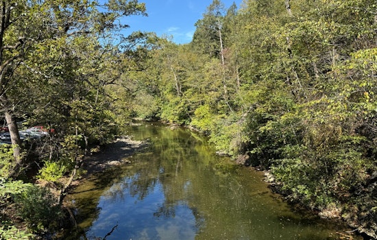 Devil's Pool Dip Turns Deadly In Philly's Wissahickon