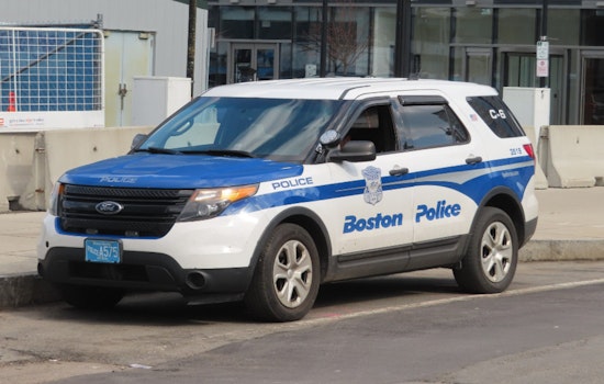 Devon Street Brawl Leaves Teen Girl Gravely Stabbed In Dorchester