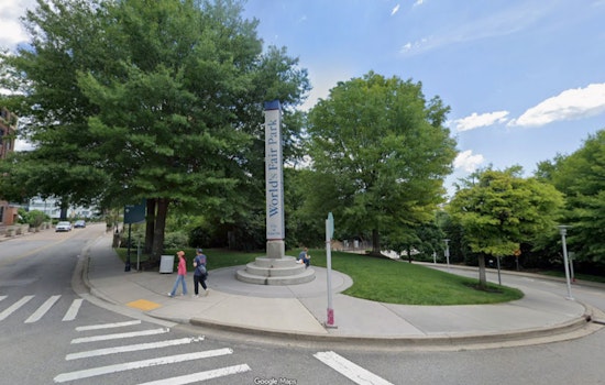 Dogwood Takeover: Knoxville Trails, Secret Gardens And A Downtown Fest Frenzy