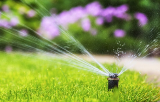 Drought Drama: Fuquay-Varina Slaps Stage 1 Squeeze On Sprinklers