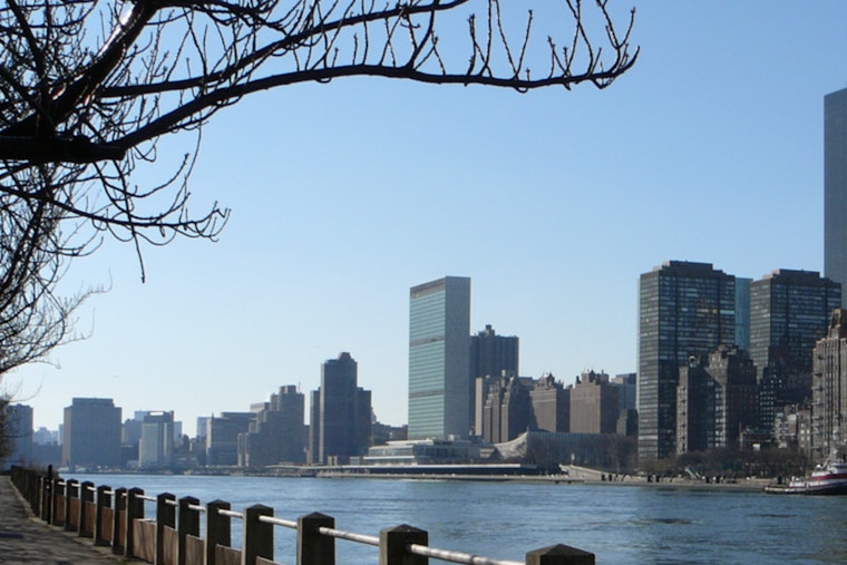 East River Plus Pool Plan Hits Choppy Water As Health Officials Hit Pause