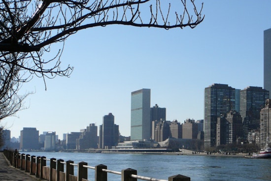 East River Plus Pool Plan Hits Choppy Water As Health Officials Hit Pause