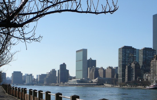 East River Plus Pool Plan Hits Choppy Water As Health Officials Hit Pause