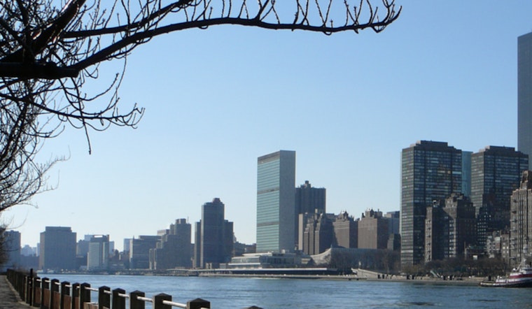 East River Plus Pool Plan Hits Choppy Water As Health Officials Hit Pause
