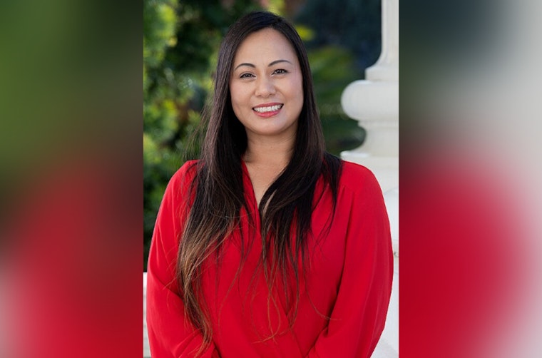 Elk Grove Lawmaker’s Child Support Shakeup Puts Sacramento On Edge
