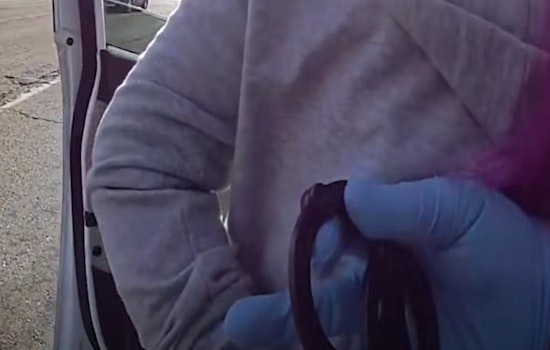 Elk Grove Mailbox Heist Caught On Camera, Cops Nab Two In Hours
