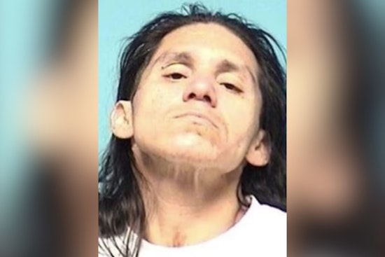 Elyria Police Lobby Belt Attack Suspect Back Before Judge on Insanity Plea