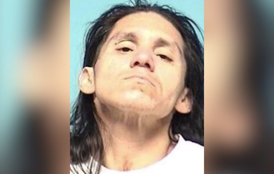 Elyria Police Lobby Belt Attack Suspect Back Before Judge on Insanity Plea