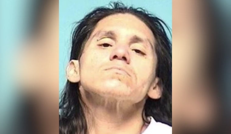 Elyria Police Lobby Belt Attack Suspect Back Before Judge on Insanity Plea