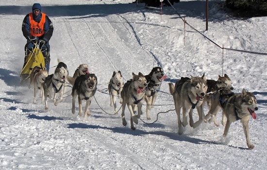 Excelsior’s Klondike Dog Derby Put On Ice For Good