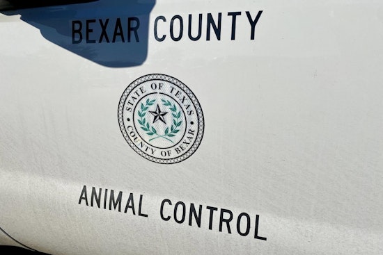 Family Dog Bites Child’s Head On Far East Side, Sends Youngster To Hospital