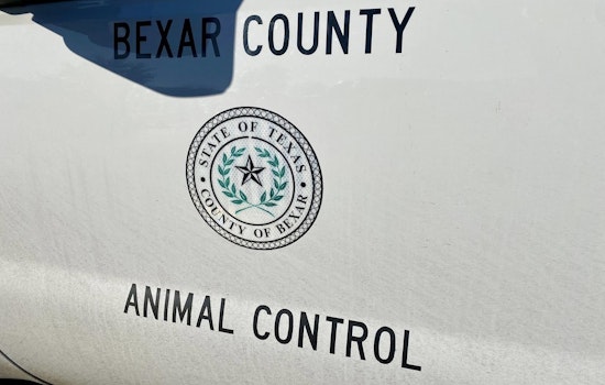 Family Dog Bites Child’s Head On Far East Side, Sends Youngster To Hospital