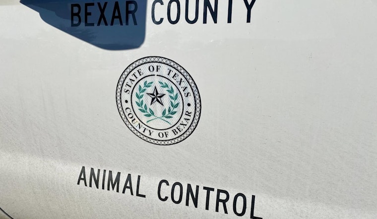 Family Dog Bites Child’s Head On Far East Side, Sends Youngster To Hospital