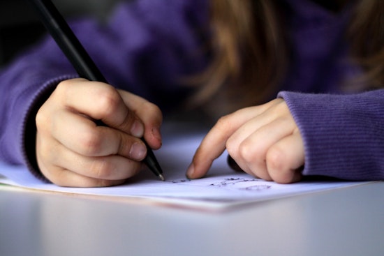 Fed Judge Boots Parents' Disability-Bias Case Against New Orleans' Willow School