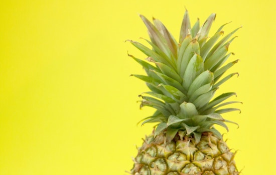FiDi Goes Full Tropical as TNT Pineapple Plants Flag at 100 Pearl