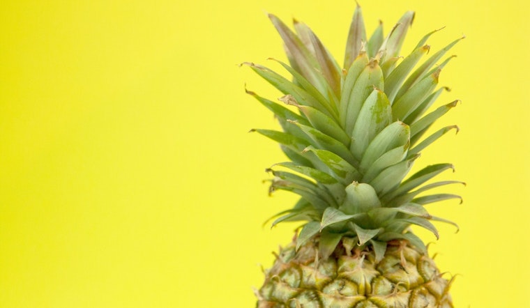 FiDi Goes Full Tropical as TNT Pineapple Plants Flag at 100 Pearl