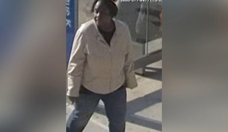 Flatlands Woman, 66, Attacked at B46 Bus Stop