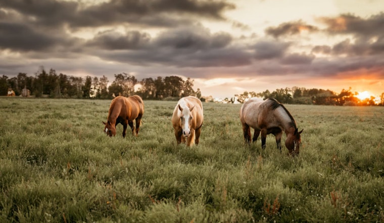 Panhandle Ranch Empire as Freeman Family Spread Hits Market For $127.7 Million