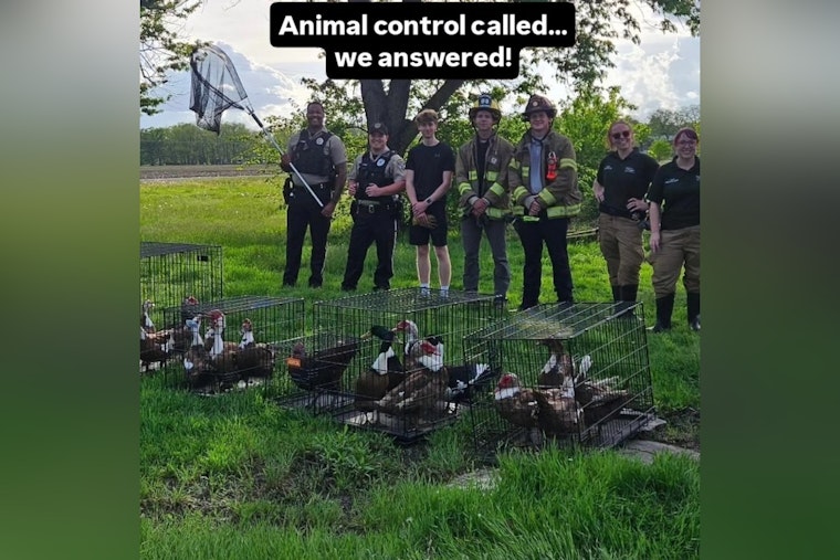 Full-Blown Bird Rodeo’ In St. Charles As Cops Seize 40 Birds And 3 Dogs