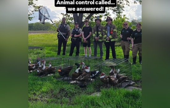Full-Blown Bird Rodeo’ In St. Charles As Cops Seize 40 Birds And 3 Dogs
