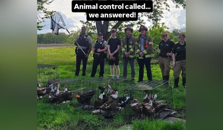 Full-Blown Bird Rodeo’ In St. Charles As Cops Seize 40 Birds And 3 Dogs