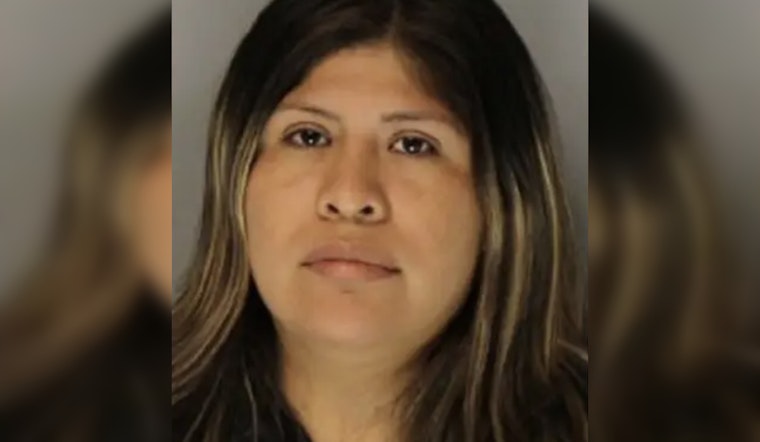 Gainesville Mom Nabbed After Chilling Text Threat To Kids