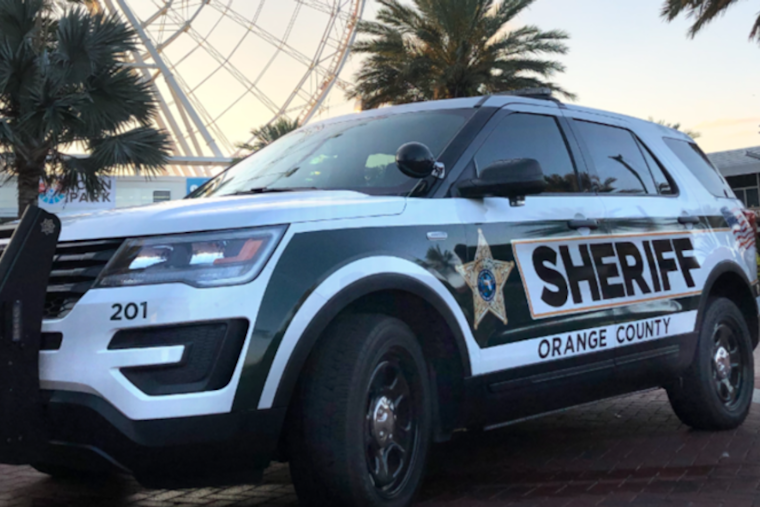 Gaunt Cows Near Apopka Spark Social Media Uproar, Deputies Step In