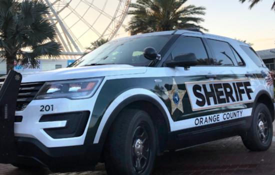Gaunt Cows Near Apopka Spark Social Media Uproar, Deputies Step In