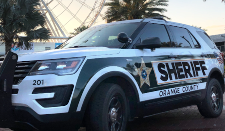 Gaunt Cows Near Apopka Spark Social Media Uproar, Deputies Step In