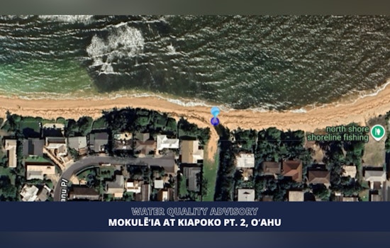 Germ Alert On The North Shore As Mokulēʻia Beach Gets DOH Bacteria Warning