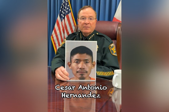 Grady Judd Blasts 'Cesar' As Illegal Car‑Break‑In Suspect In Winter Haven