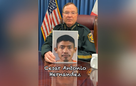 Grady Judd Blasts 'Cesar' As Illegal Car‑Break‑In Suspect In Winter Haven