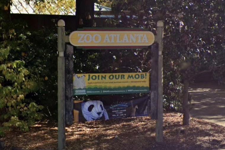 Grant Park Roars Back As Zoo Atlanta Snags Two New Pandas