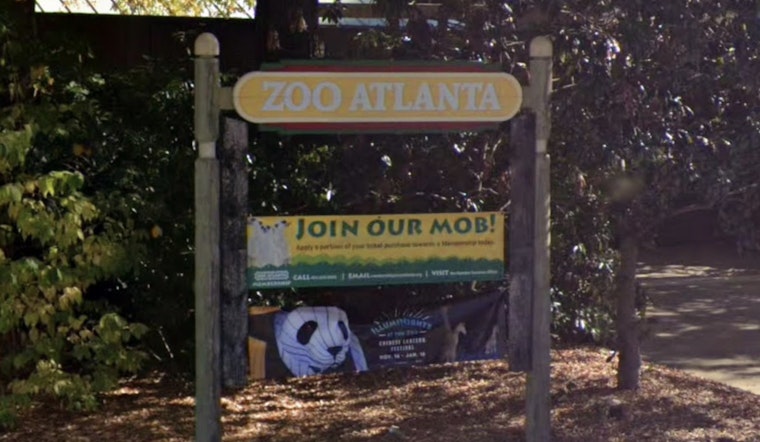 Grant Park Roars Back As Zoo Atlanta Snags Two New Pandas