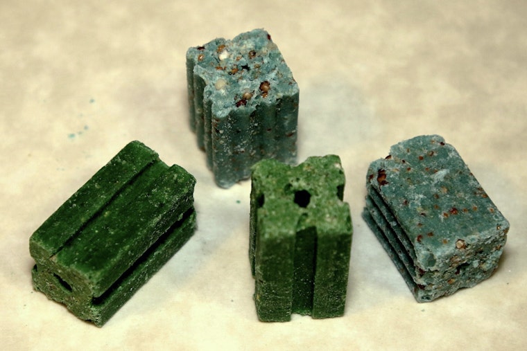 Green Rat Poison Pellets By Local School Have Windsor Terrace Pet Owners Seeing Red