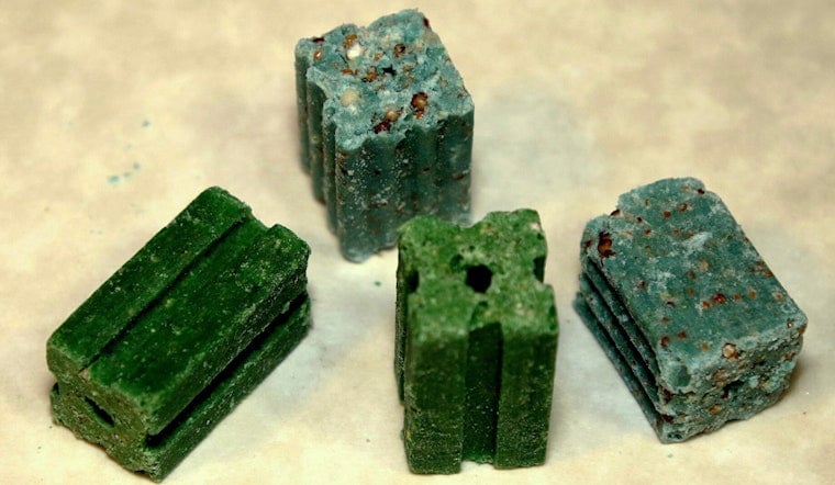 Green Rat Poison Pellets By Local School Have Windsor Terrace Pet Owners Seeing Red