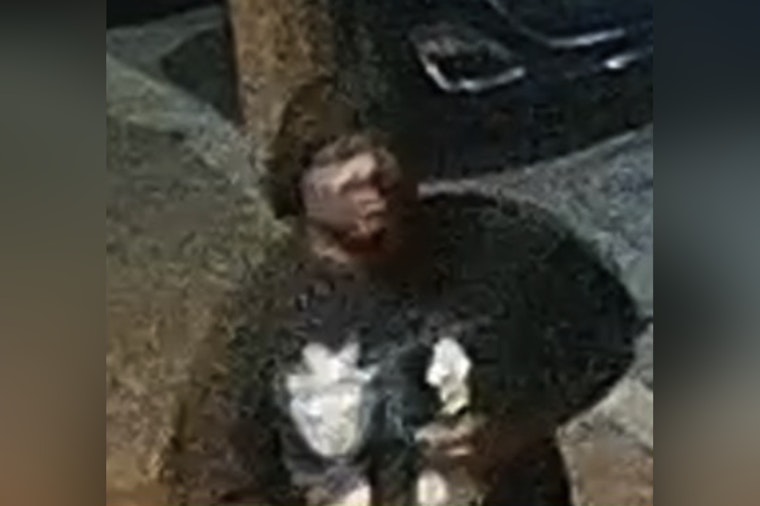 Gunman Robs Two Women On Cherokee Street As Cops Ask Neighbors To Help