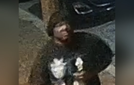 Gunman Robs Two Women On Cherokee Street As Cops Ask Neighbors To Help