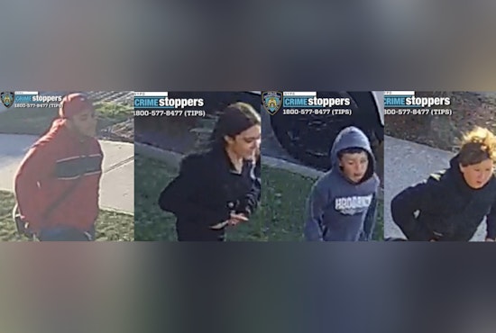 Hammer-Wielding Crew Rips 11-Year-Old’s Bike On Quiet Staten Island Corner