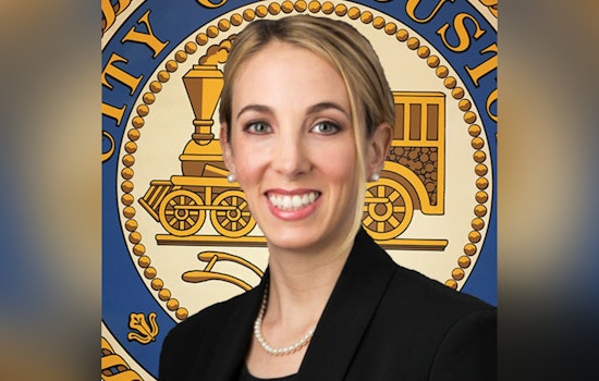 Harris County Court Brawl, Kamin Snags Interim Attorney Gig in 3-2 Squeaker