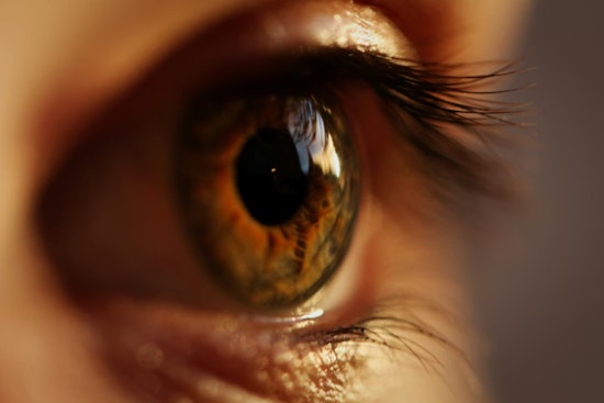 Harvard Anti-Aging Doc’s Boston Biotech Snags Cool $80 Million for Eye-Test Gamble